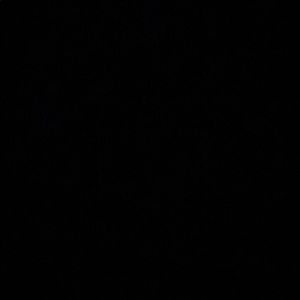 Meet your Posher, Mya